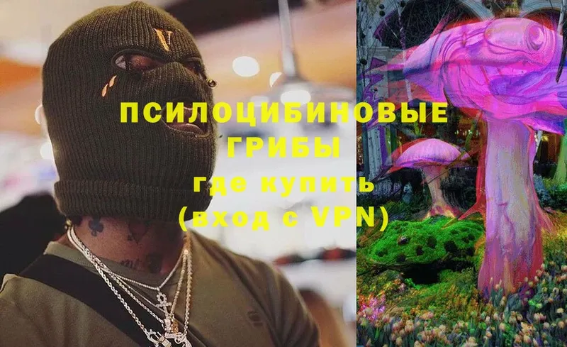 Галлюциногенные грибы Magic Shrooms  Апшеронск 