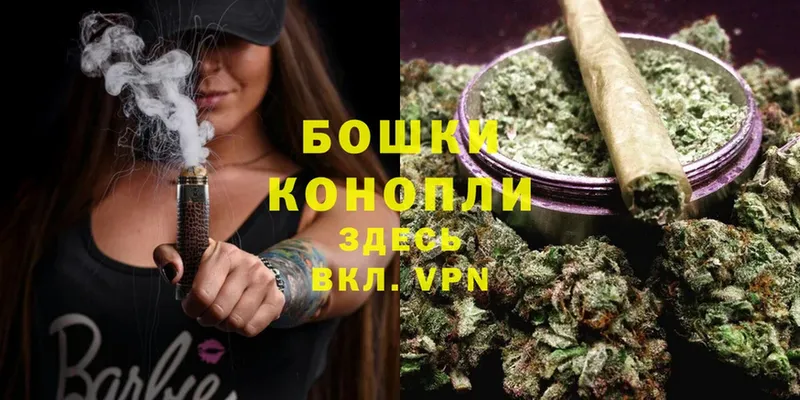 Бошки марихуана OG Kush  МЕГА ссылка  Апшеронск 